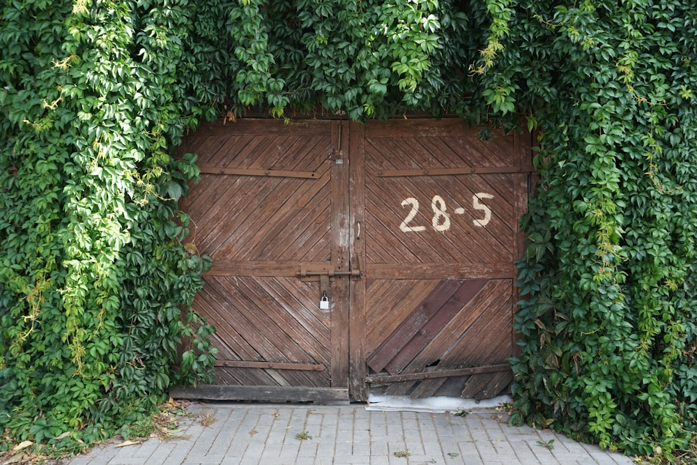 closed wooden gate surrounded with vines