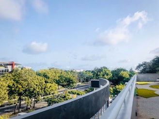 Wide roads and landscaped gardens at Godrej Riverhills.