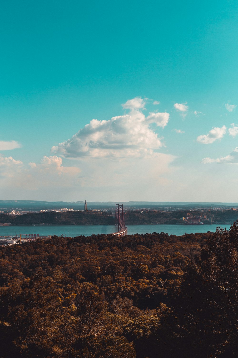 brown islet and body of water