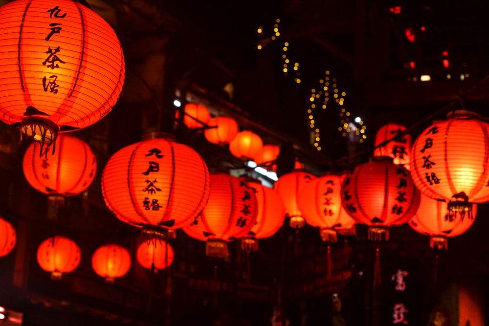 white-and-orange Chinese lantern lot