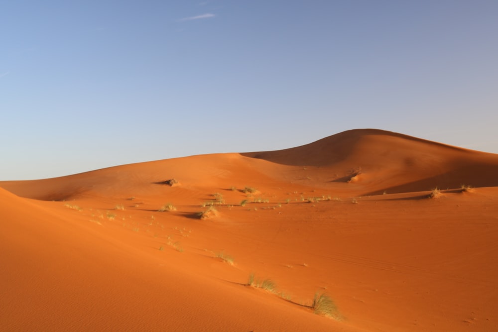 landscape photography of desert