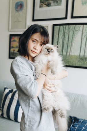 A person with medium-length dark hair is holding a fluffy, long-haired cat with striking blue eyes. The person is wearing a gray shirt, and in the background, there are several framed pictures on a white wall. The scene takes place indoors, on a sofa accented with a striped pillow.
