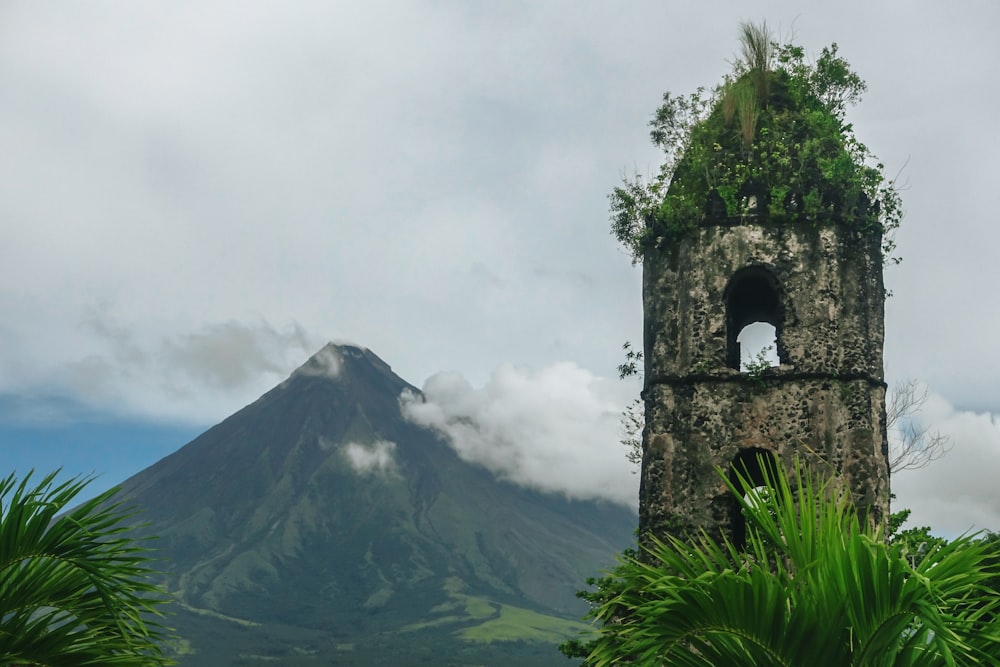 マヨン火山、アルバイフィリピン 昼間