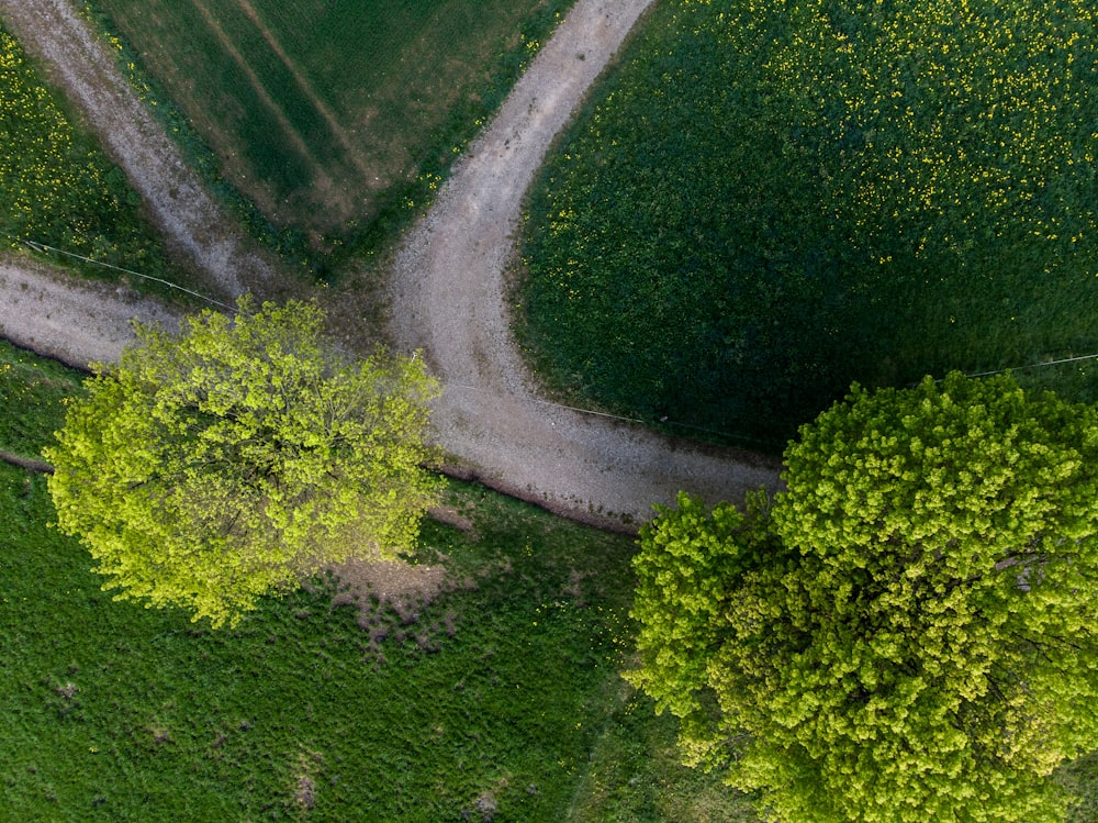 an aerial view of a dirt road in the middle of a green field