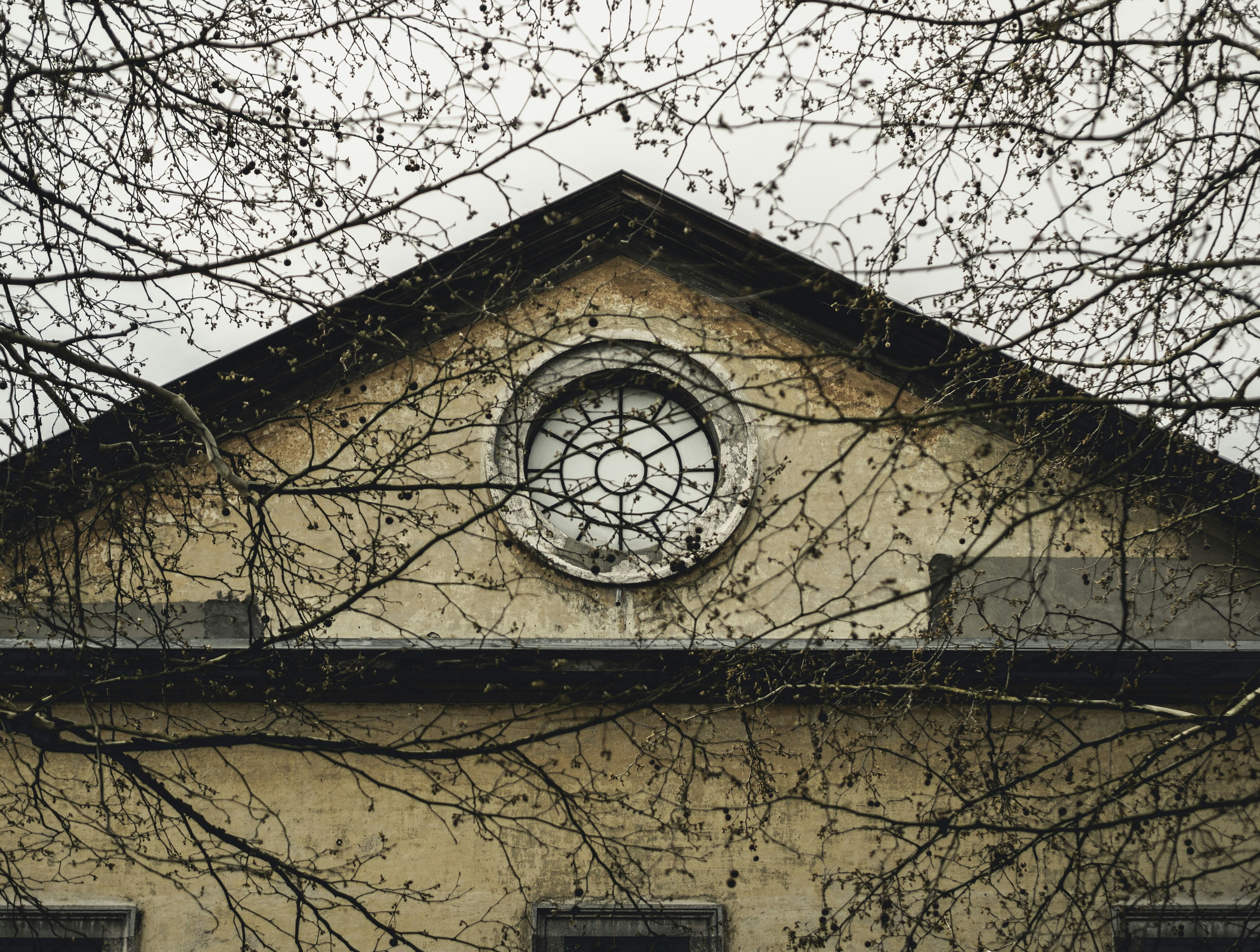 Photo by milandegraeve