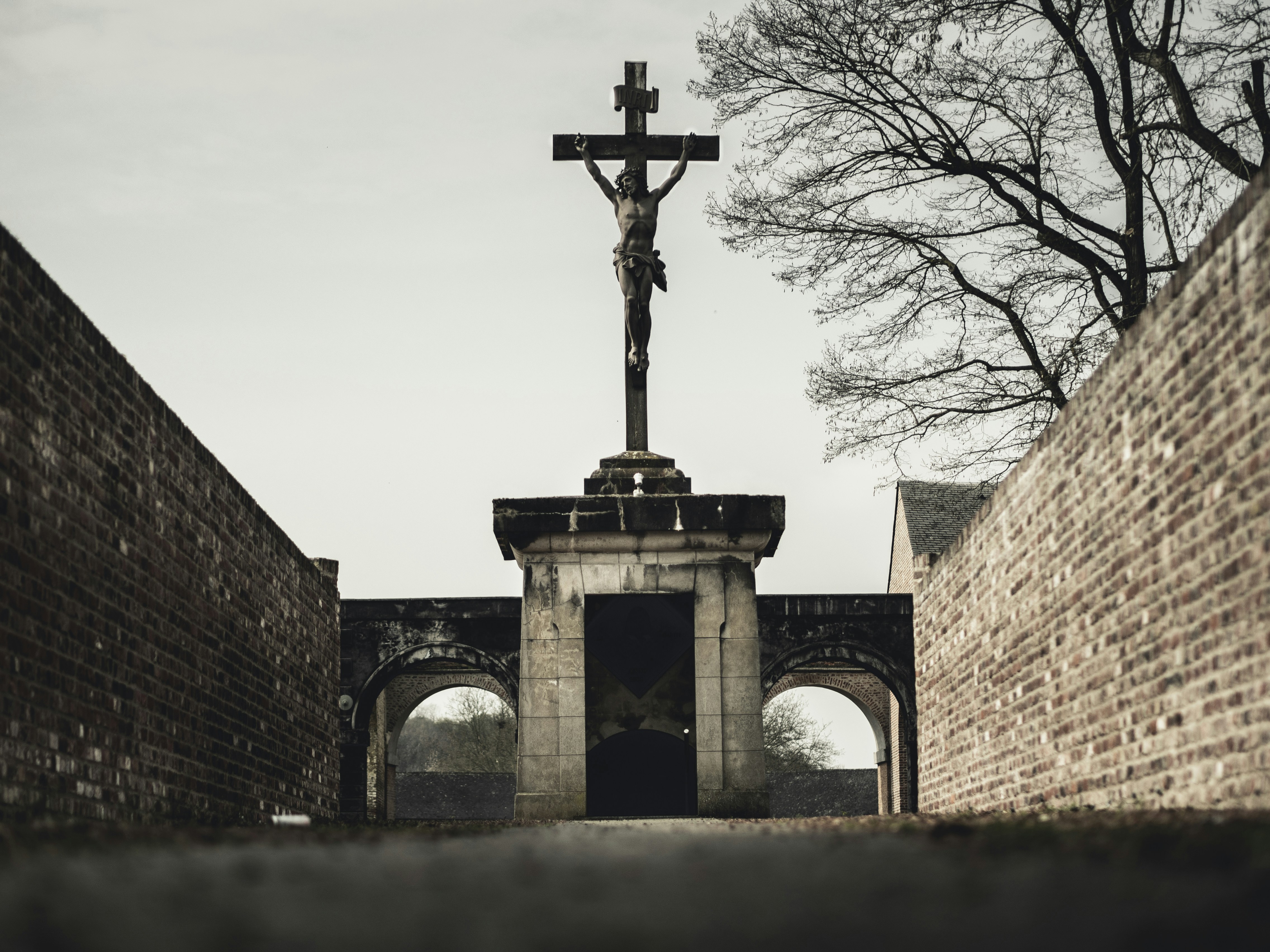 Photo by milandegraeve