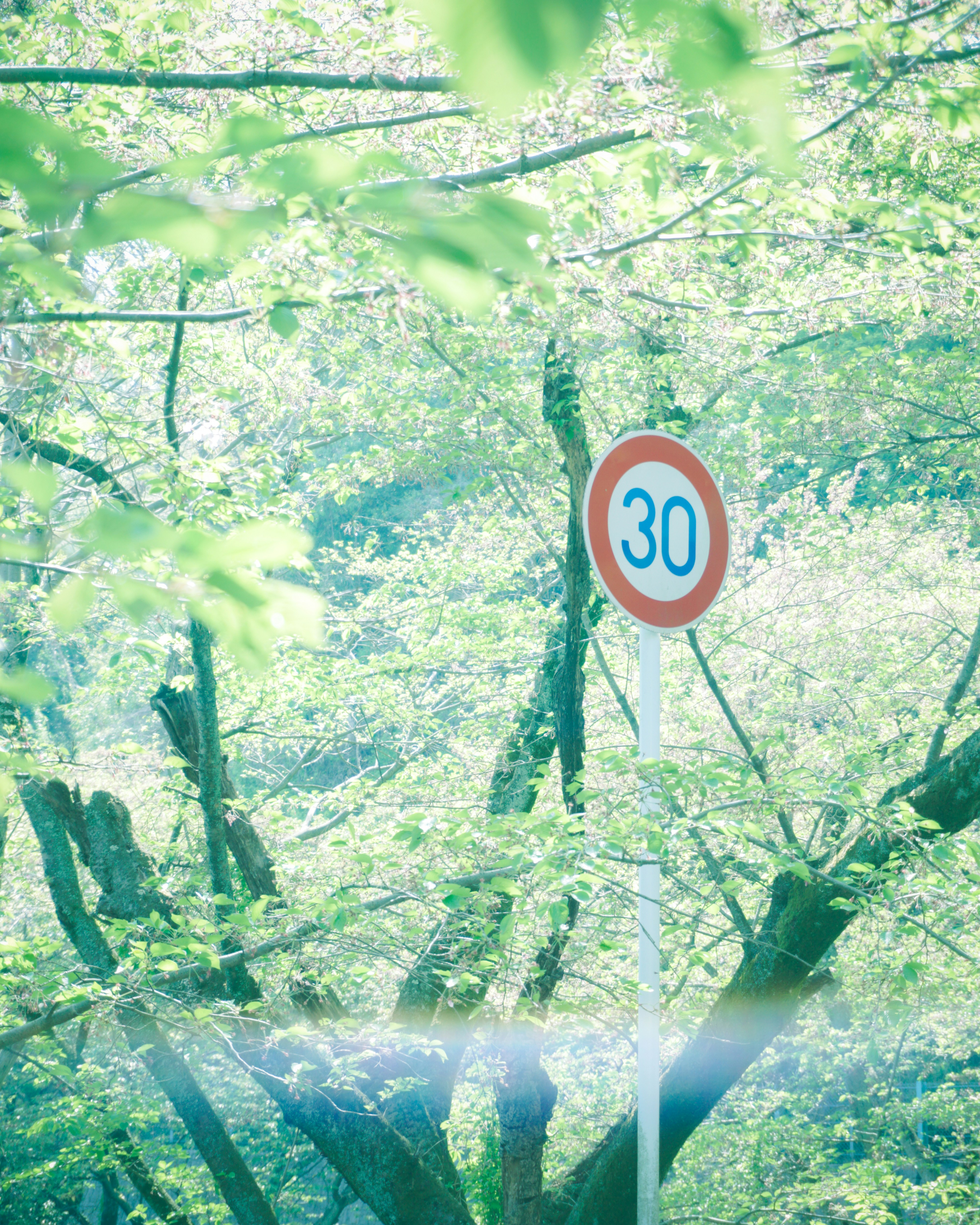 Photo by cosmonaut647