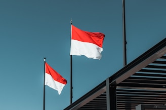 red and white flags