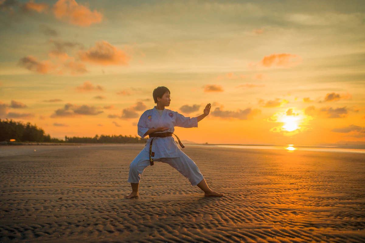 Martial arts grappling practice