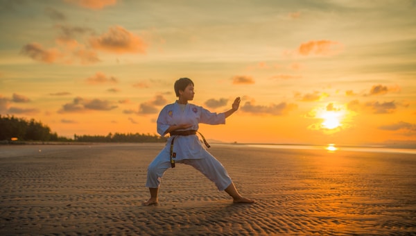 Ippon Collection - Best Throws