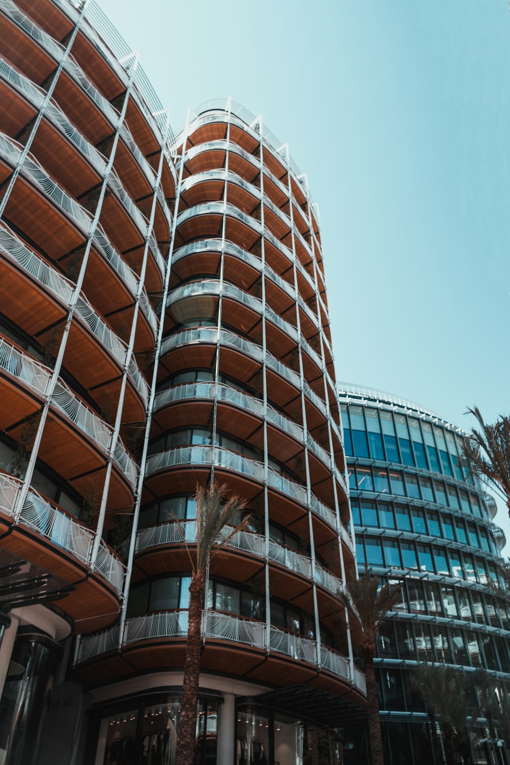 palmier devant la façade du bâtiment