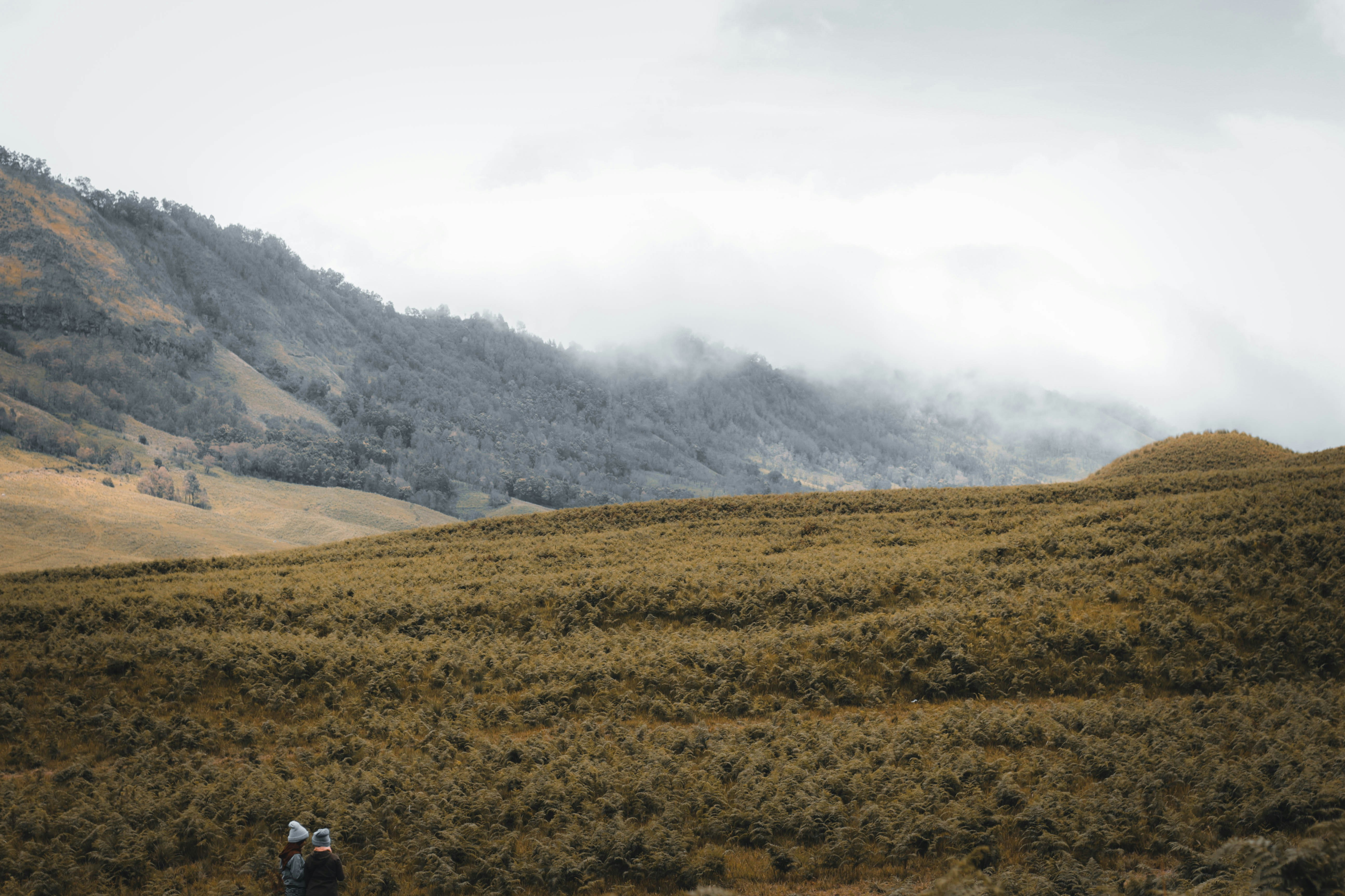 Photo by dionisiuswisnu