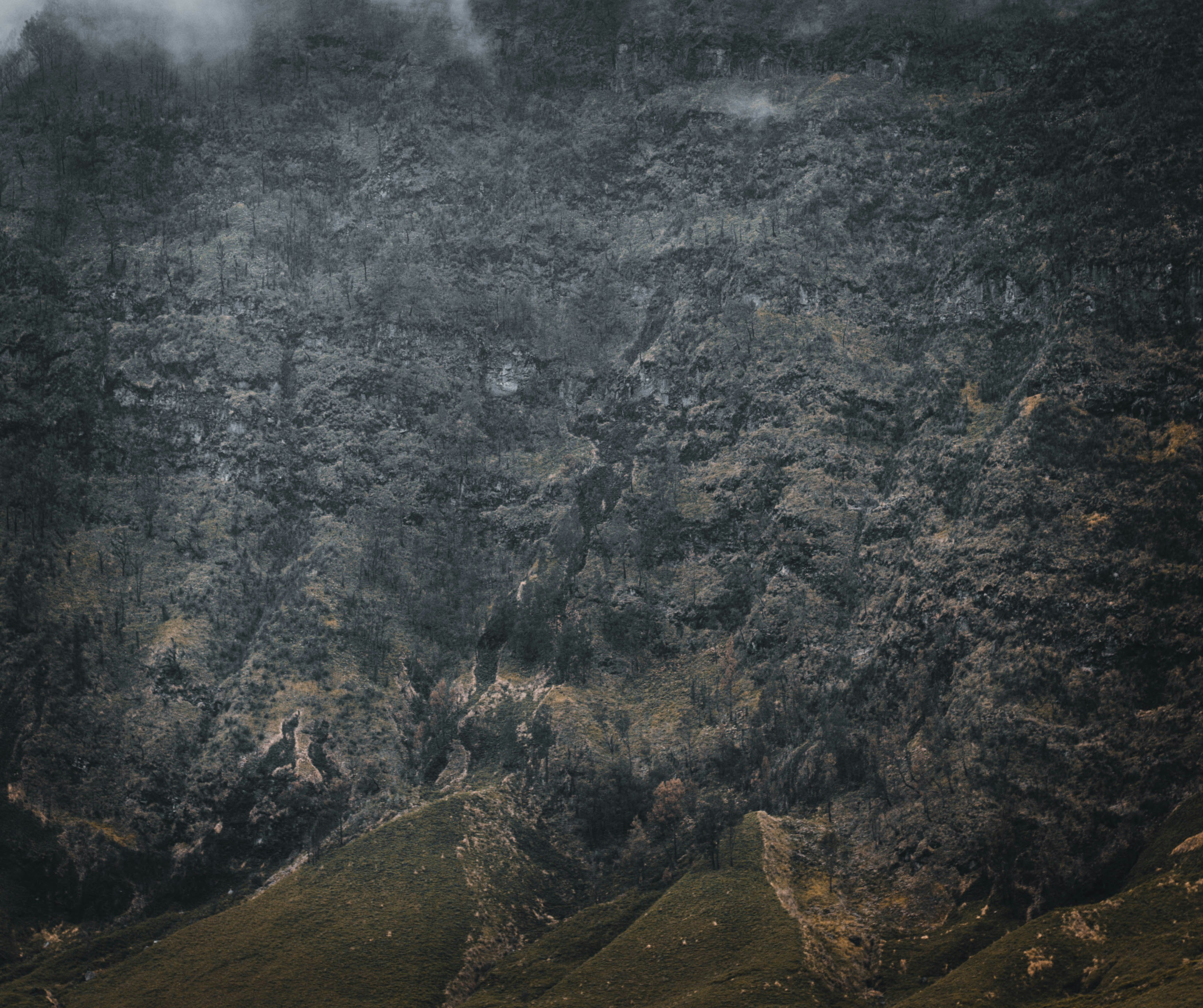 Photo by dionisiuswisnu