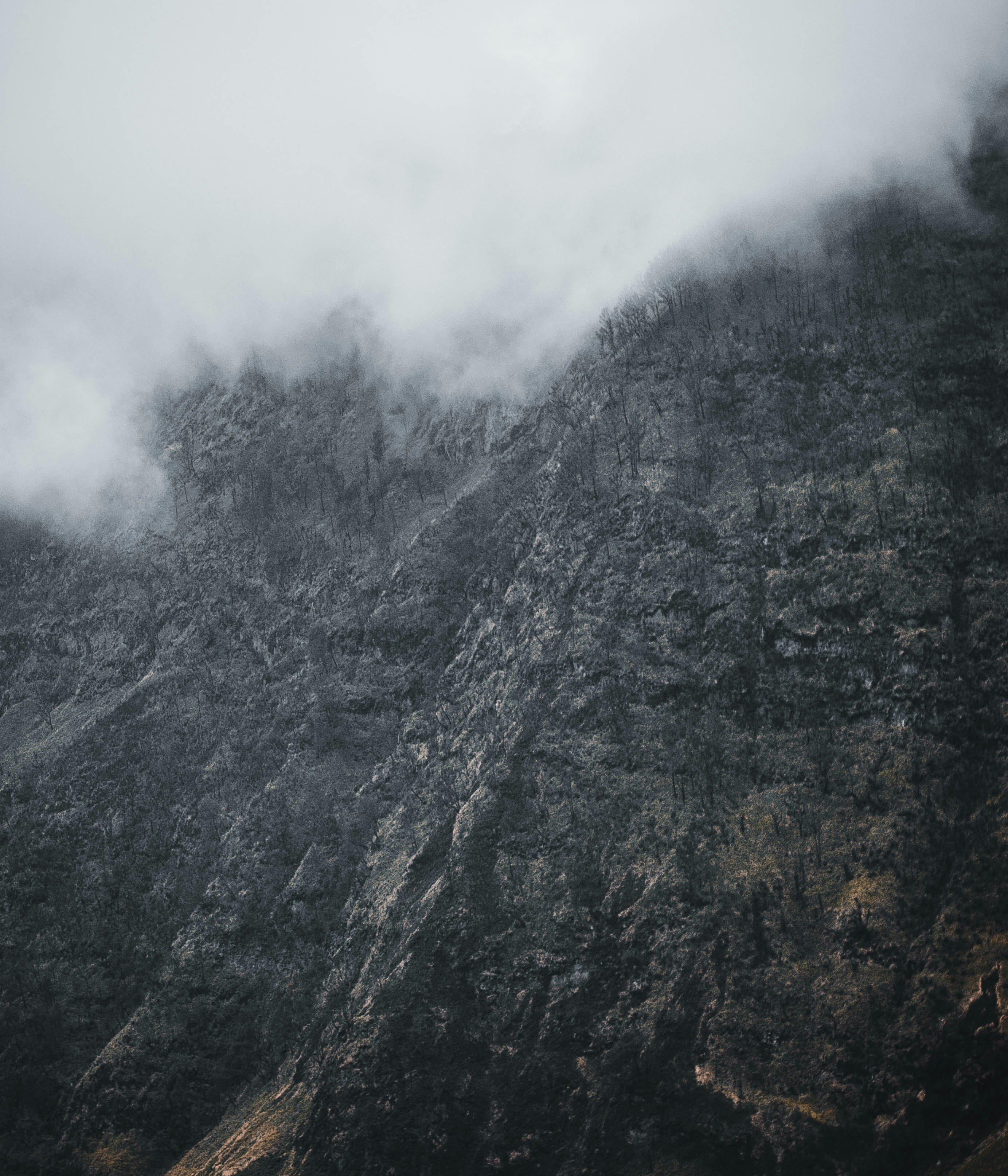 Photo by dionisiuswisnu