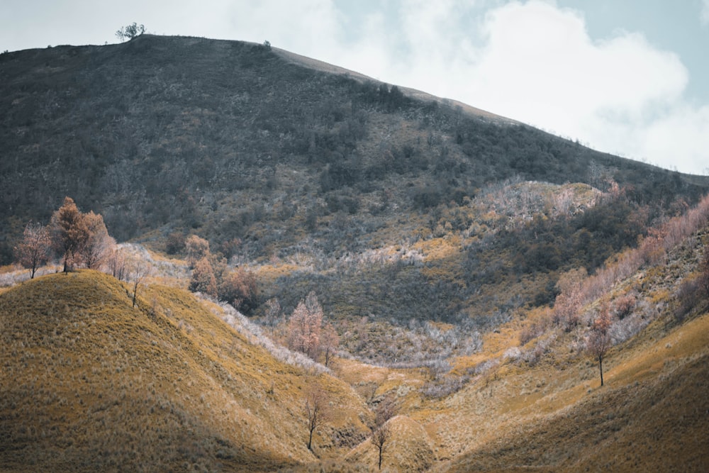 brown and green mountain ranges