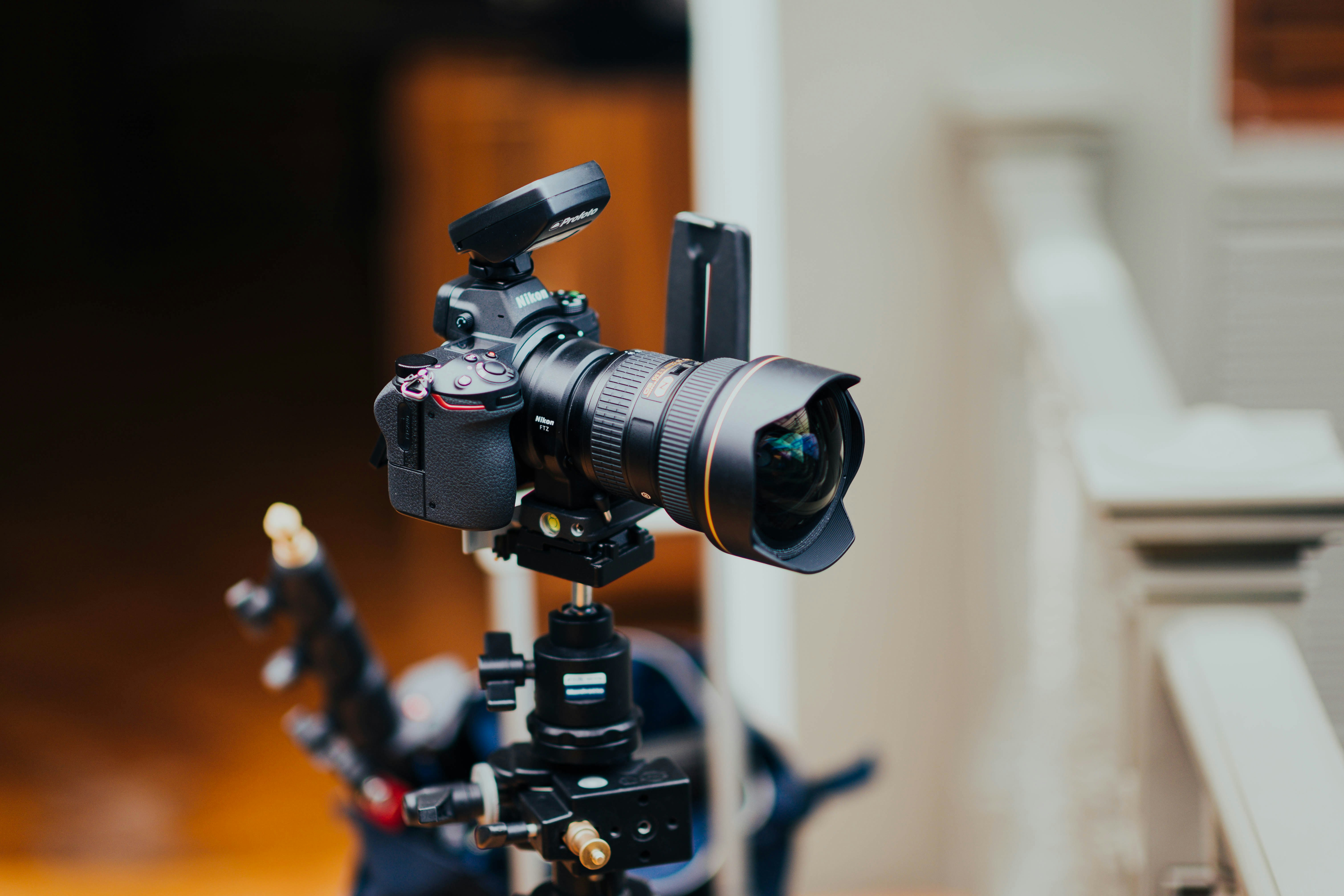 Photo by chuttersnap