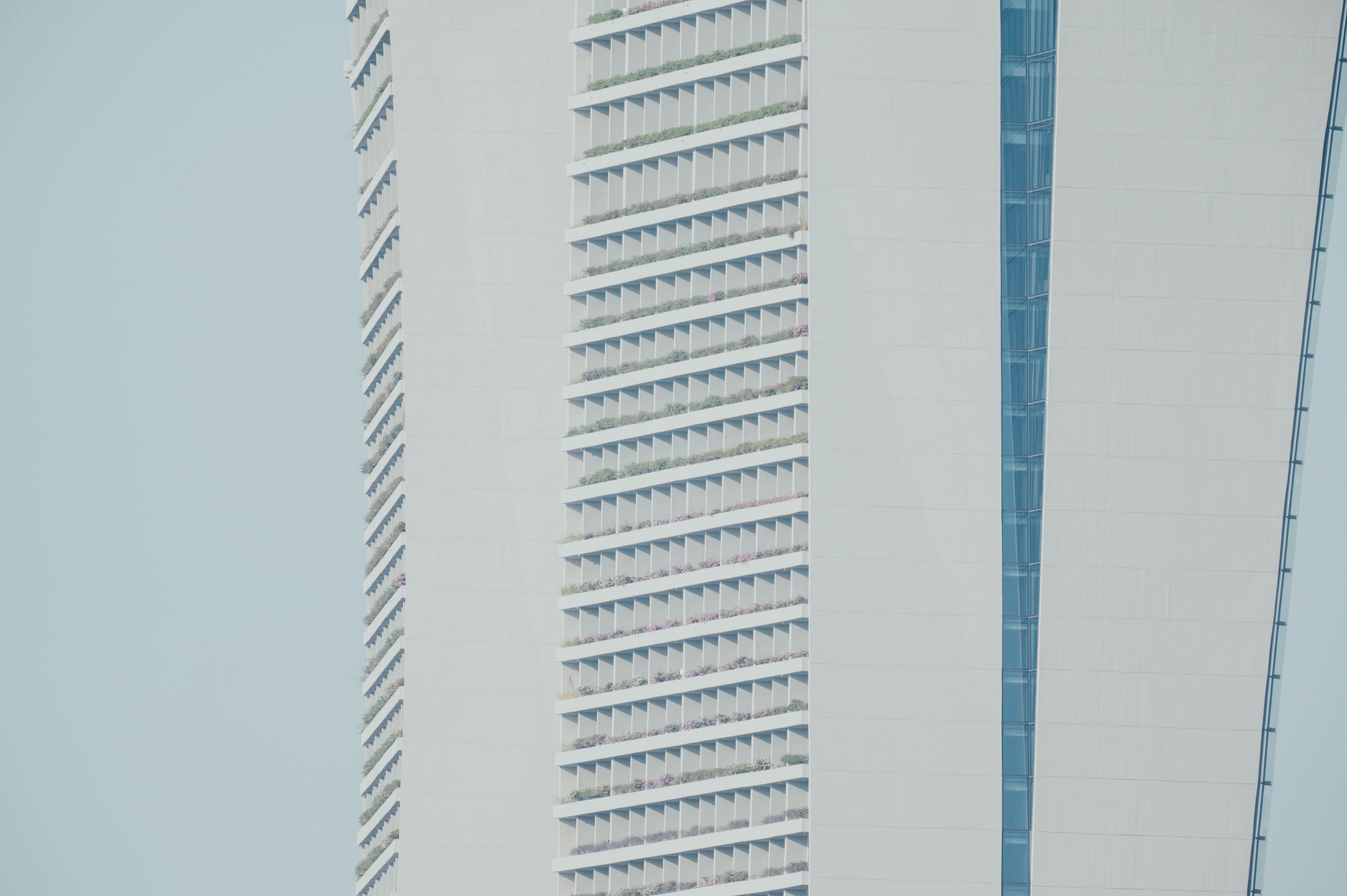 Photo by chuttersnap