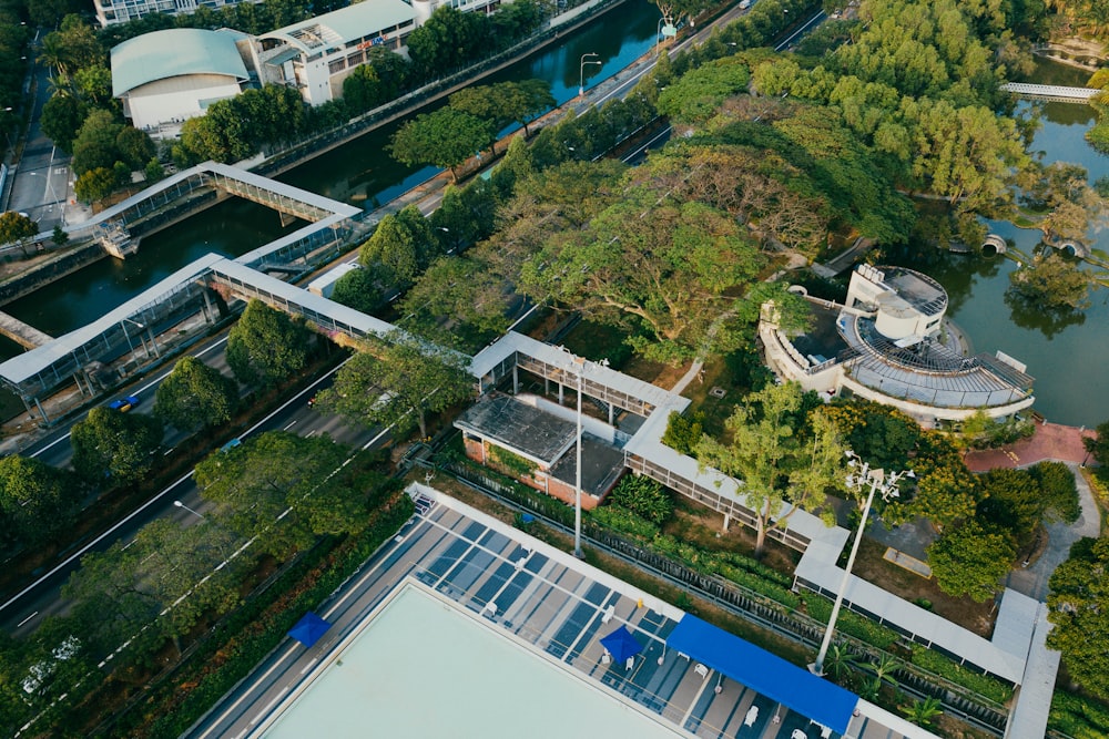 aerial view of trees and buildings near body of water