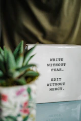 a white box with writing on it next to a plant