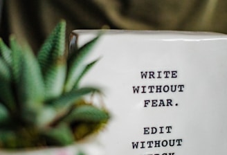 a white box with writing on it next to a plant