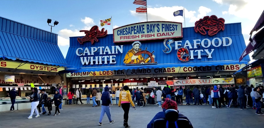 Exploring the Freshness and Variety of Seafood Delivery