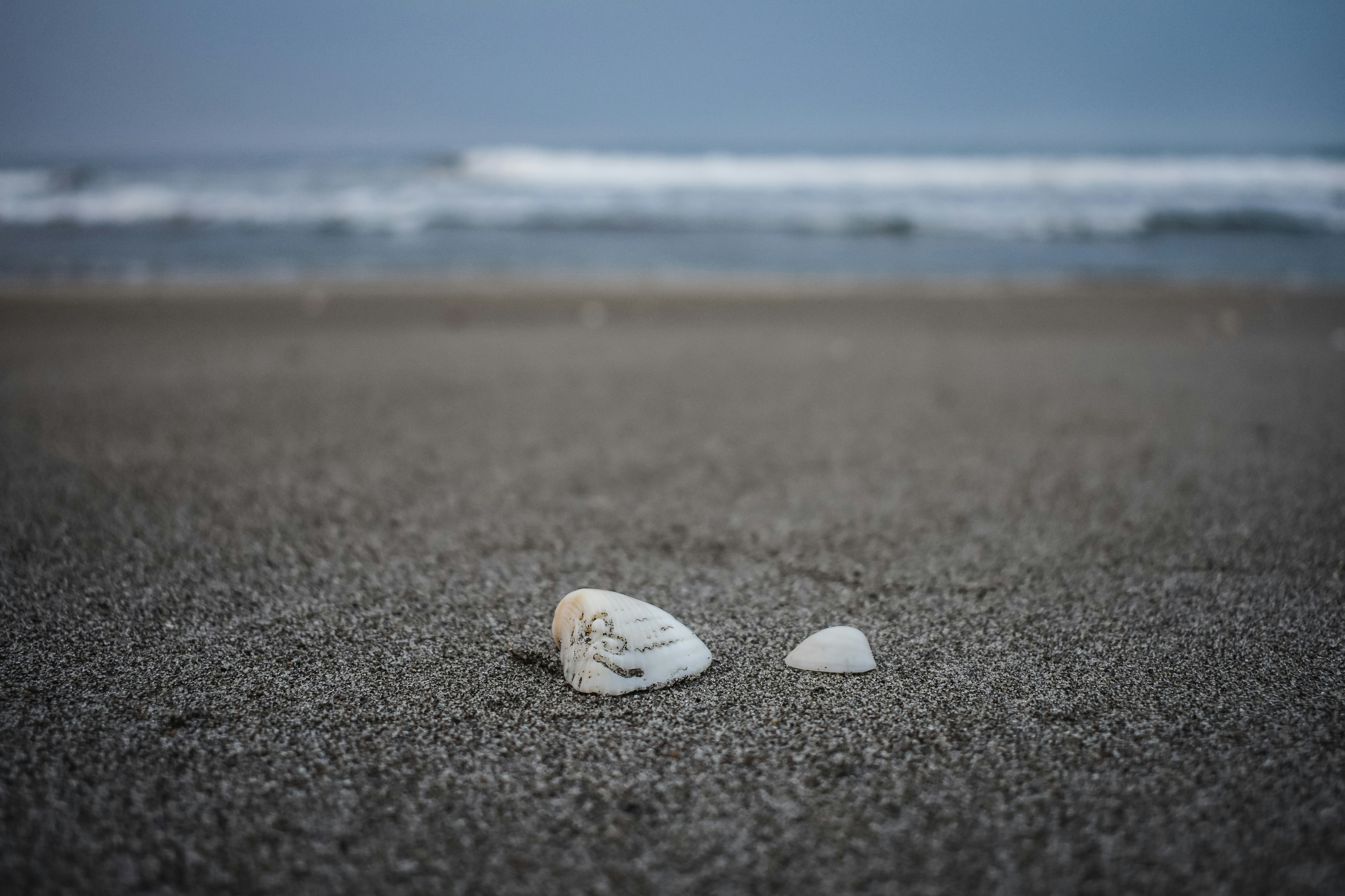 Photo by alejandroalas7536