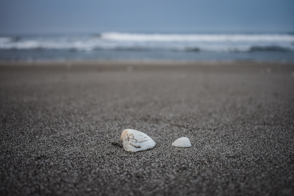 white pebble near shoreline and body of water