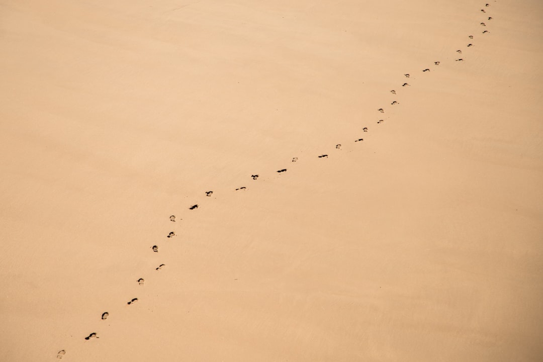 aerial photography of footprints in the sand