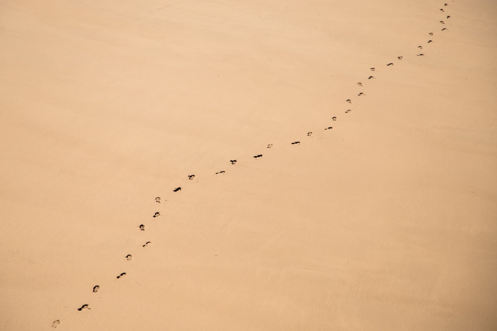 Photographie aérienne d’empreintes de pas dans le sable