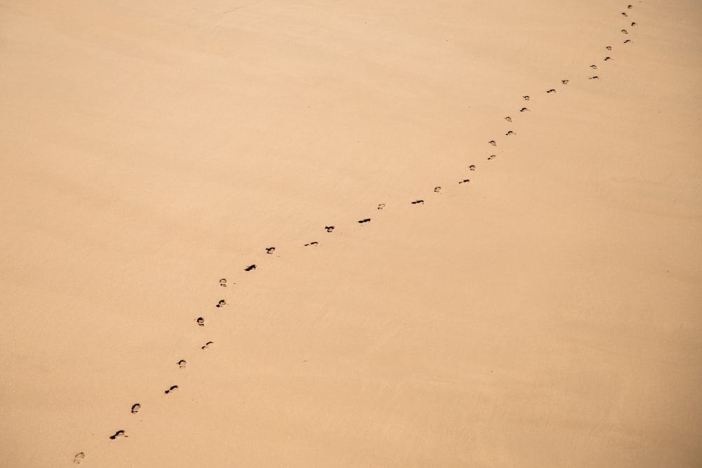 Luftaufnahmen von Fußabdrücken im Sand