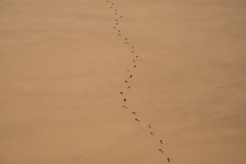 aerial view photography of barefoot