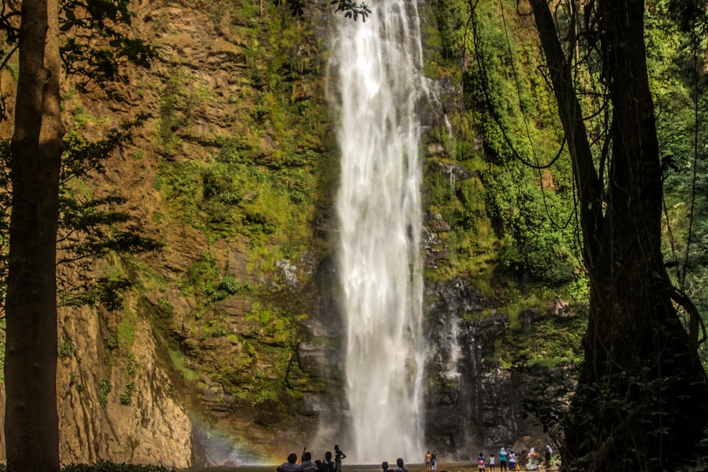 landscape photo waterfalls during daytime