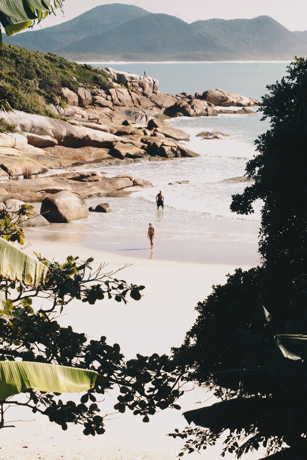 person standing on the seashore