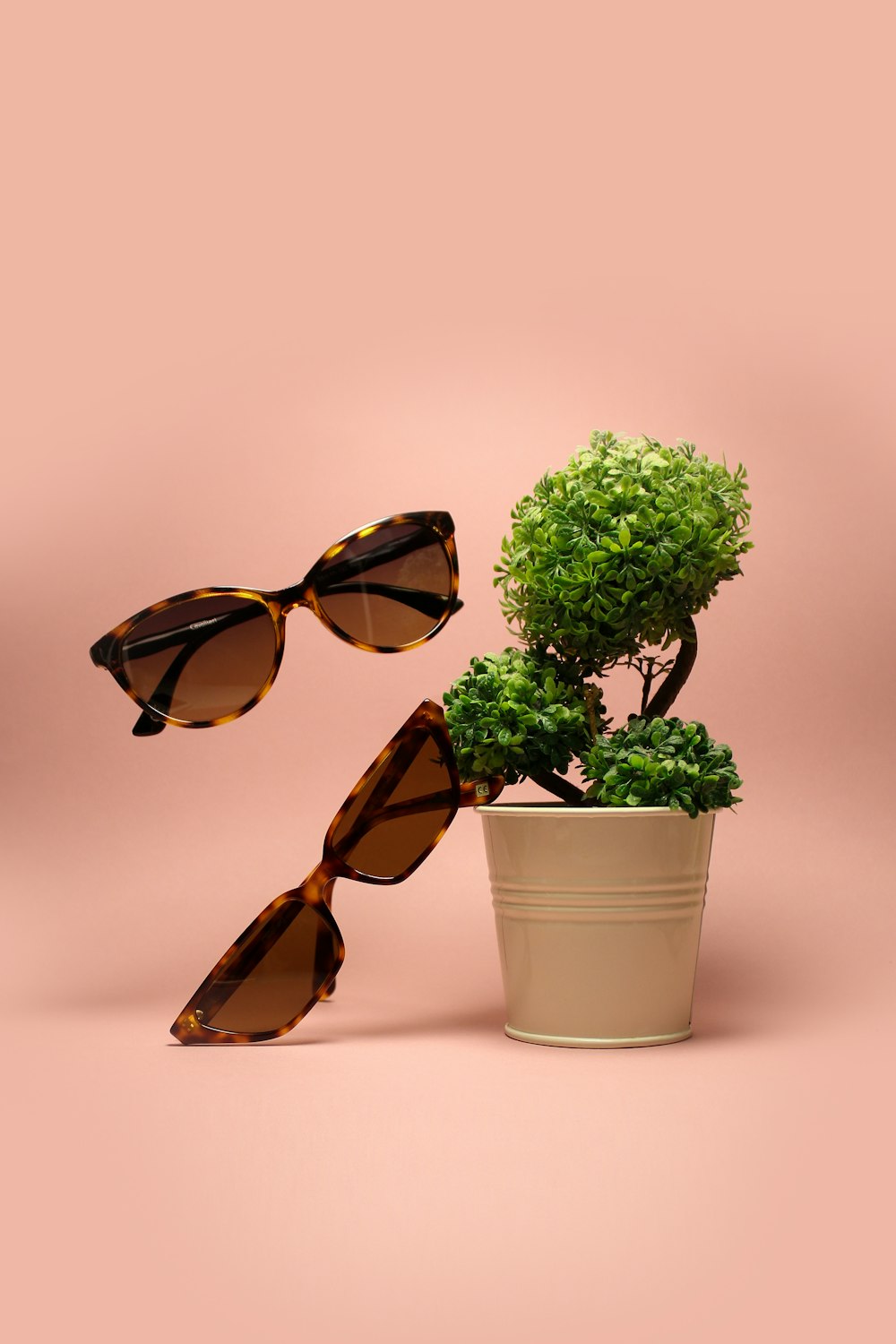 dos gafas de sol marrones junto a una planta de hojas verdes