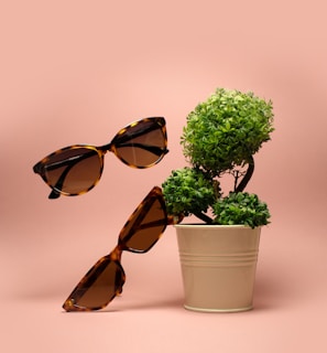 two brown sunglasses beside green-leafed plant