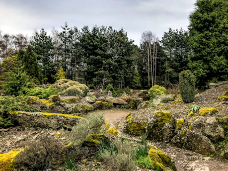 A serene rural landscape featuring a thoughtfully designed ornamental rock garden with lush greenery.