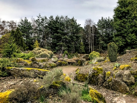 A serene rural landscape featuring a thoughtfully designed ornamental rock garden with lush greenery.
