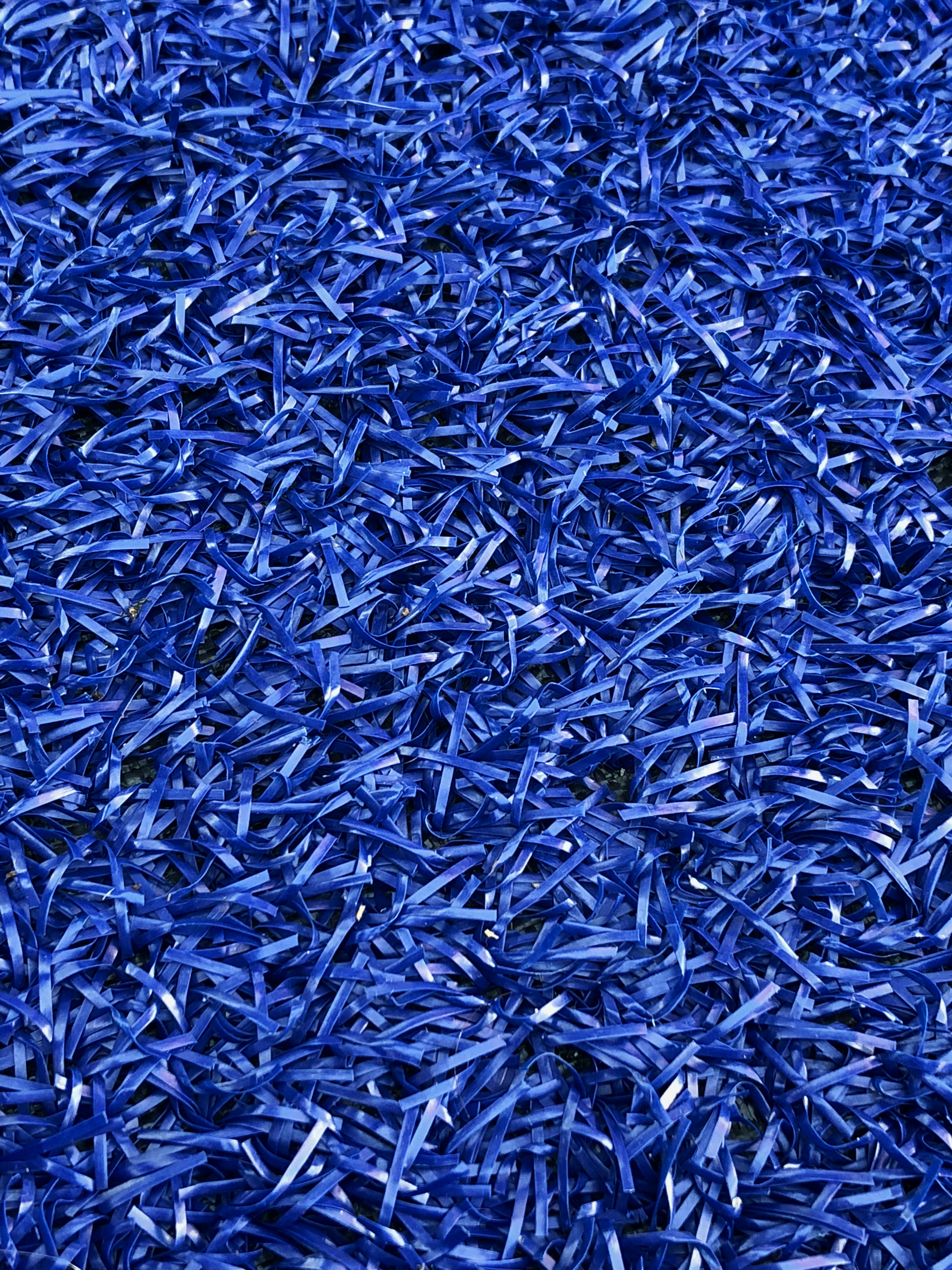 Why Your Brain Builds Models of Other Minds