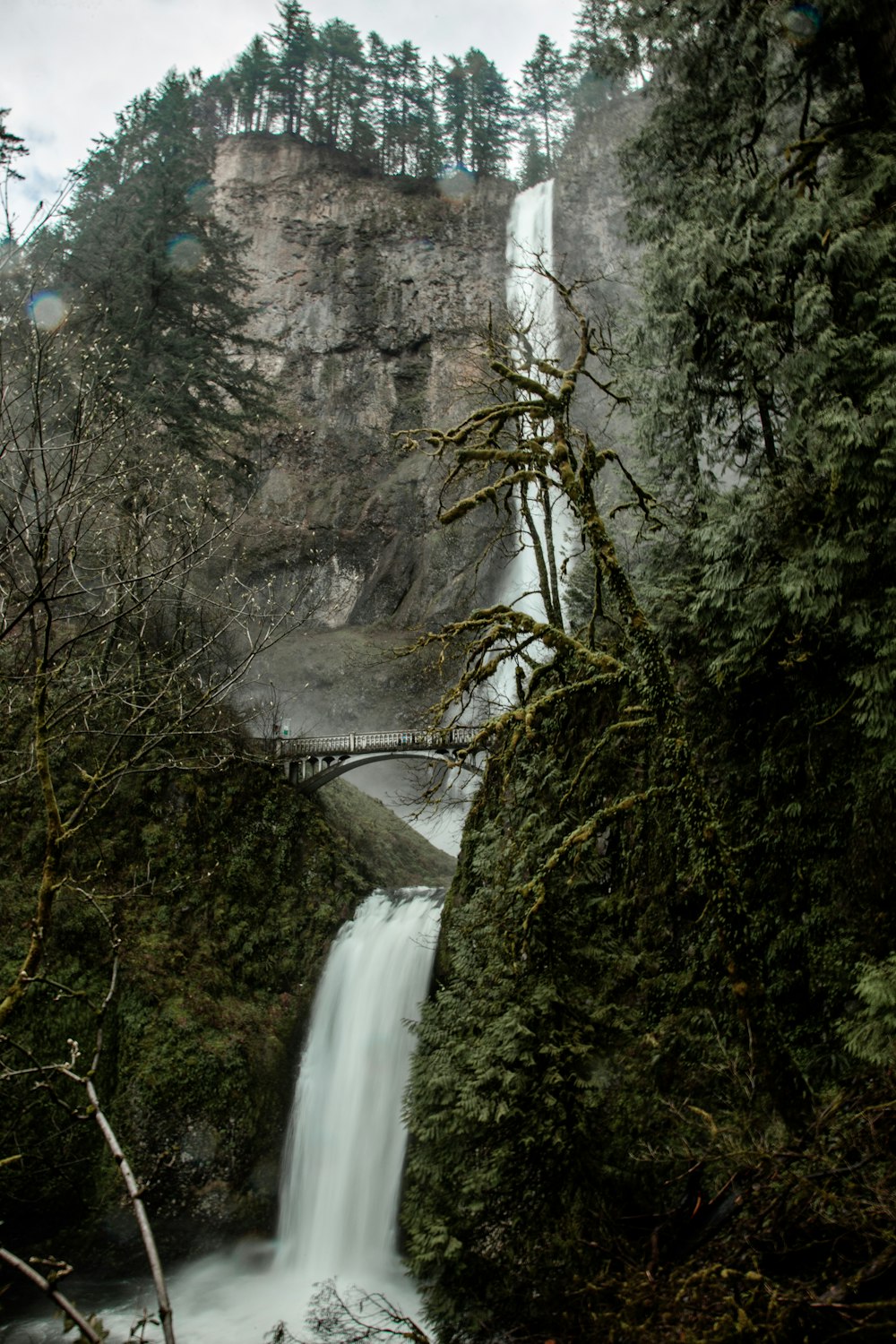 time-lapse photography of flowing waterfall