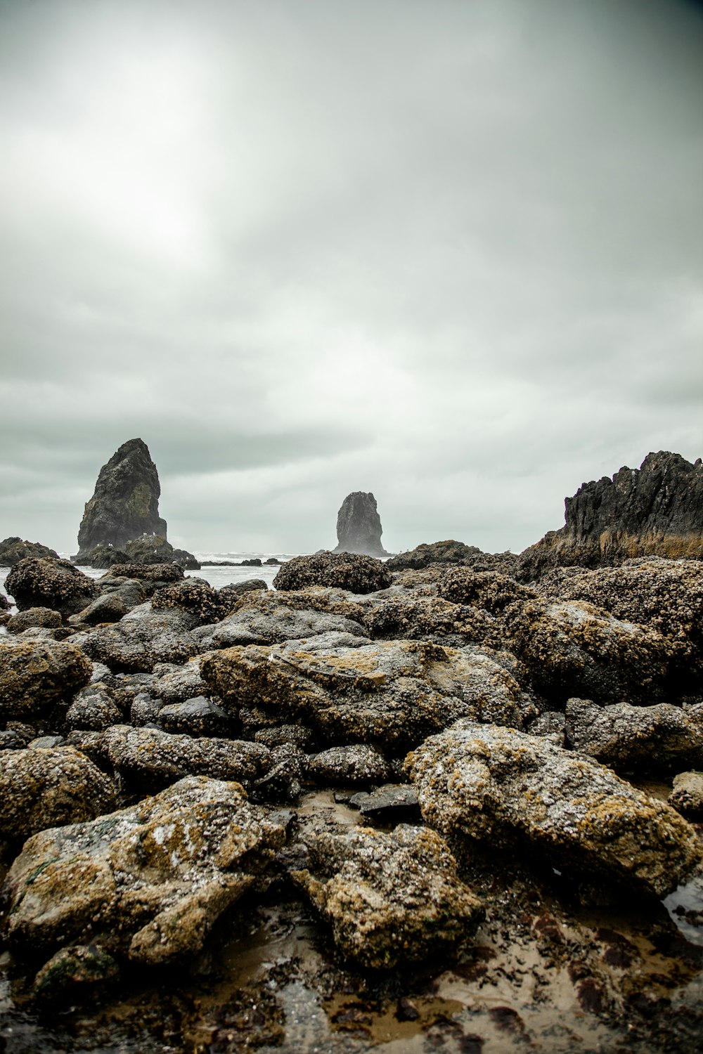 rocky shore