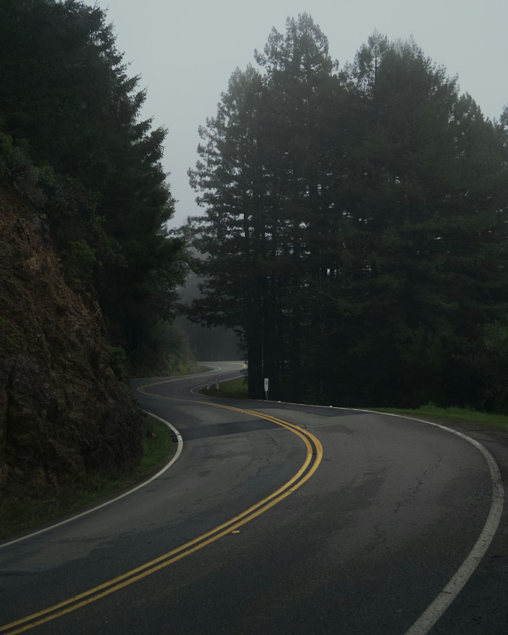 empty road near trees at daytime