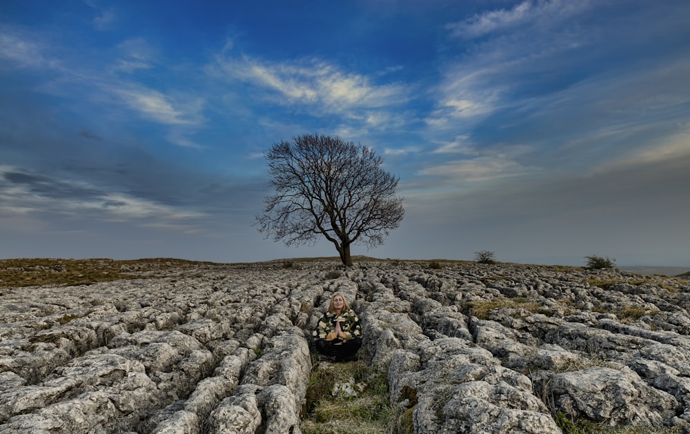 group of white sheep and woman on center