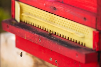 A close-up of a vibrant red beehive with a beige entrance, featuring several bees actively flying and entering the hive.