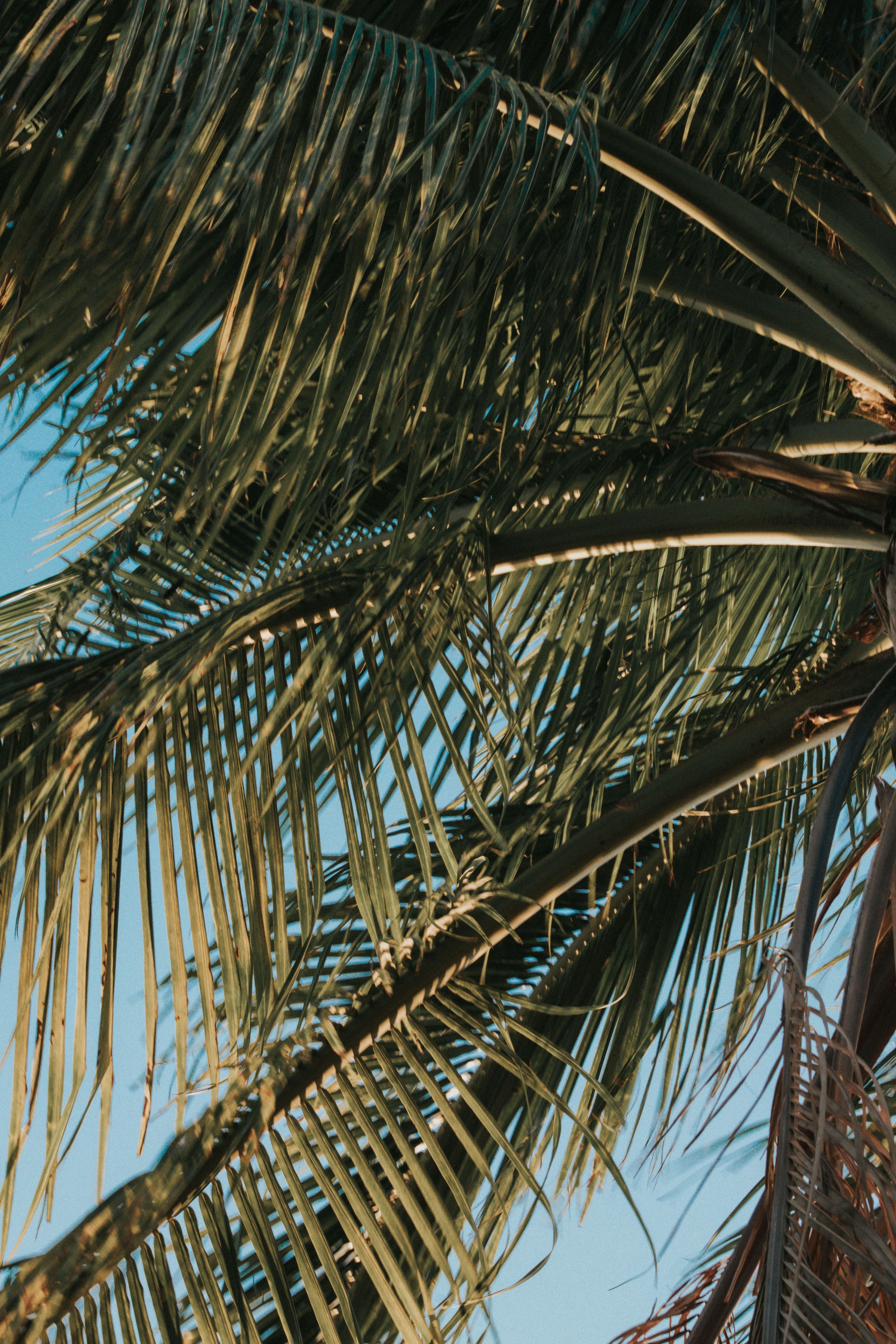 Photo by karinahalley