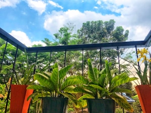 Close-up of a spacious balcony with panoramic views of the central green gardens at Arihant Seasons.