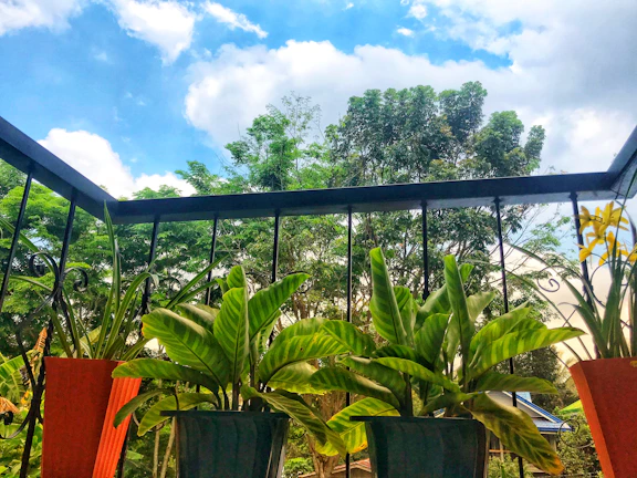 Balcony view overlooking a peaceful garden with greenery and flowers.