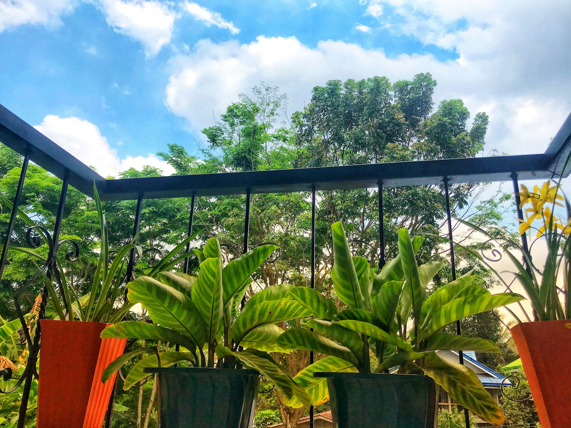 woman wearing yellow long-sleeved dress under white clouds and blue sky during daytime
