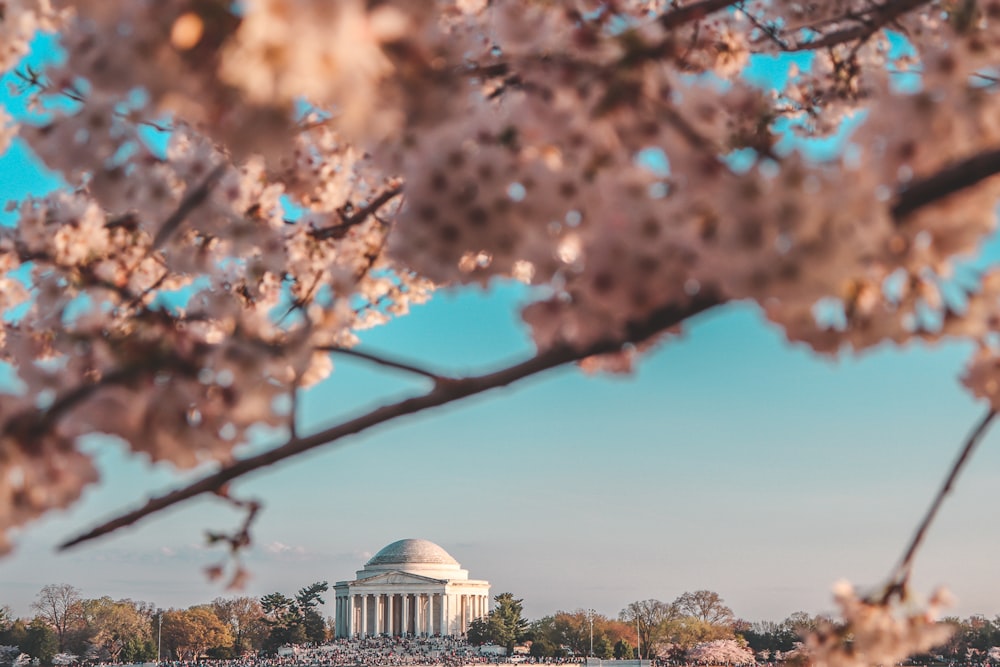 white concrete dome building