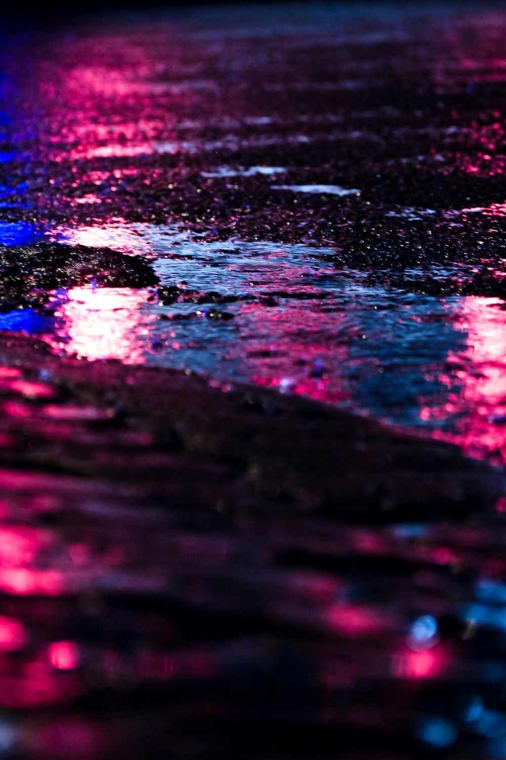 pink and blue lights reflect on the road