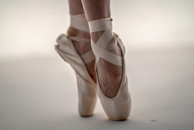 pair of brown ballerina shoes